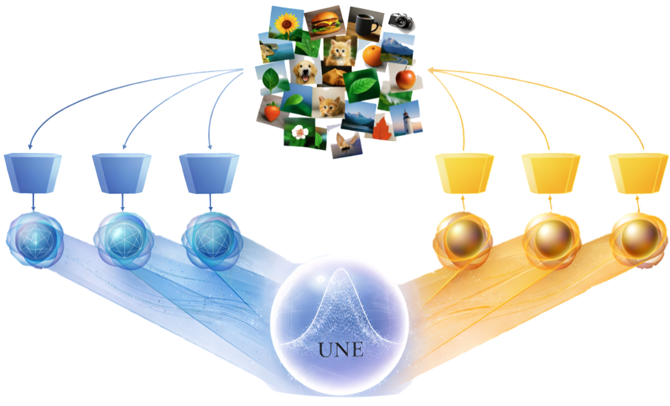 Induced Normal Embeddings illustration